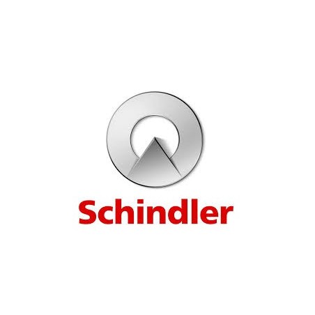 Pack Triphonie Numérique 4G SCHINDLER  + 1 an de SIM